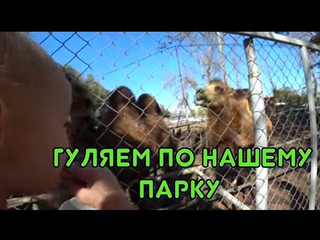 ВСЕХ С ПРАЗДНИКОМ ПОКРОВ ДЕНЬ/ПОЕЗДКА В КАНЕВСКУЮ /ПРОГУЛКА ПО ПАРКУ/ЗАЕХАЛИ В ГОСТИ К ЛЕНЕ/ смотреть онлайн