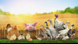 ДЛЯ СЕЛЬСКОГО ХОЗЯЙСТВА  ДЛЯ ВСЕХ