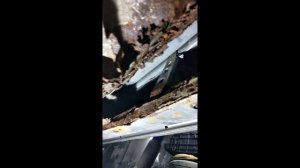 Джип Honda CR-V  ( ремонт короба с порогом )