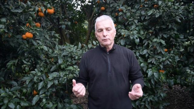 Стрессы - чем может помочь массажист?