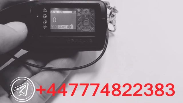 CODEGRABBER PANDORA P24 смотреть онлайн