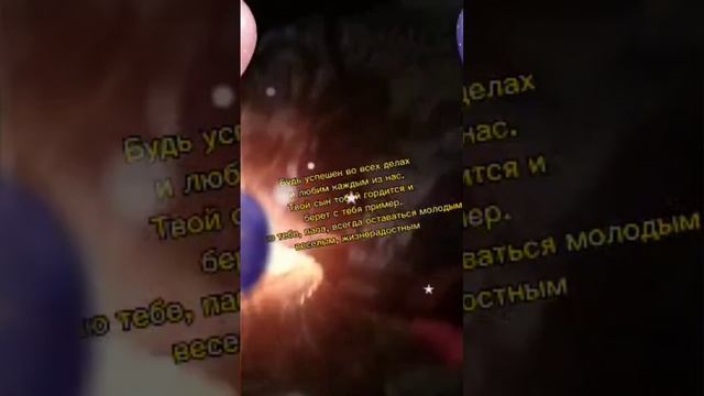 Папина ДЕНЬ РОЖДЕНИЯ смотреть онлайн