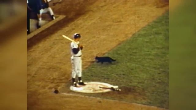 On Friday 13th we rewind to the Cubs' black cat смотреть онлайн