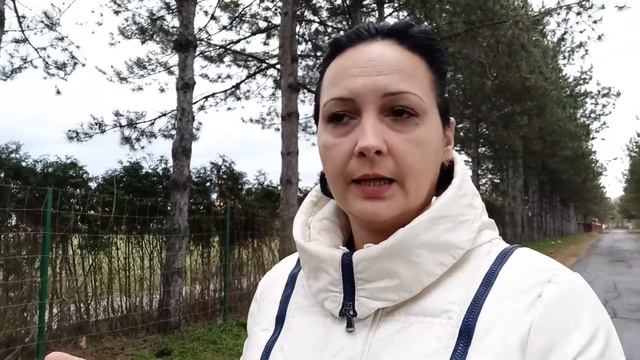 ?ПАЛИТРА. Какую палитру использовать для масляной краски? #палитрадлямасла #палитра #живопись смотреть онлайн