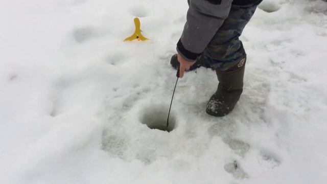 Поимки форели в РК Фишка Липки. смотреть онлайн