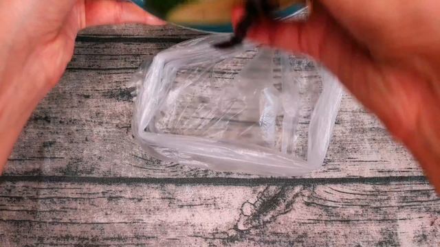 Вкусные рецепты: баклажаны и кабачки