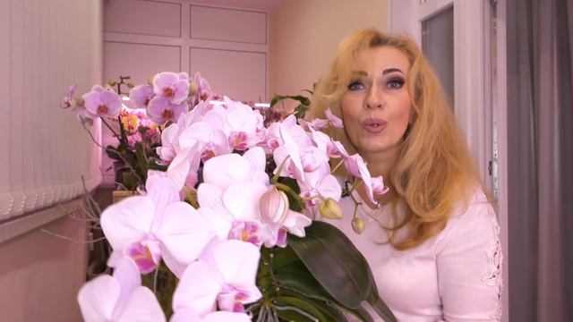 ШАПКИ ЦВЕТОВ! ВОСТОРЖИЩЕ! Орхидеи XXL. смотреть онлайн