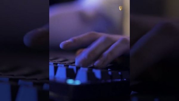 Что такое ВПО? | It Insight