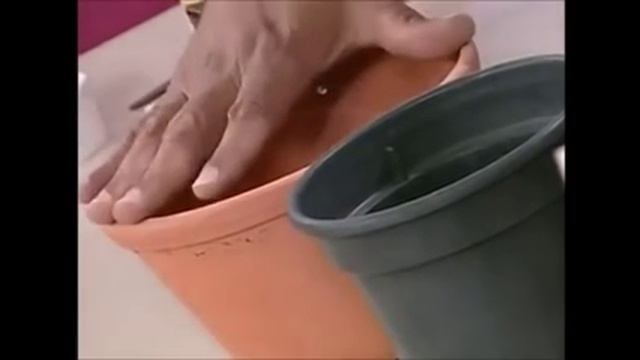 COMO CUIDAR DE ORQUÍDEAS - Manual na Descrição ↓ ↓ ↓ ↓ смотреть онлайн