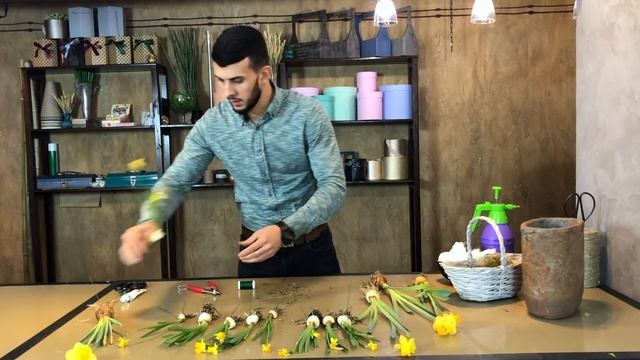 Флорист. Школа флористики онлайн. Работа с луковичными растениями. Техника флориста.