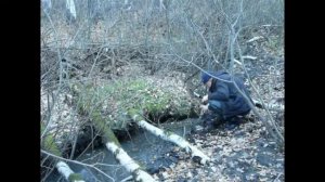 Ставлю и проверяю капканы на бобра..mp4