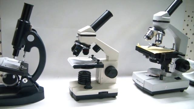 Как выбрать микроскоп смотреть онлайн