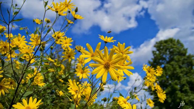 Gymnopedie No. 1 - Erik Satie - Classical Music For Relaxation, Studying, Meditation - 2 HOURS