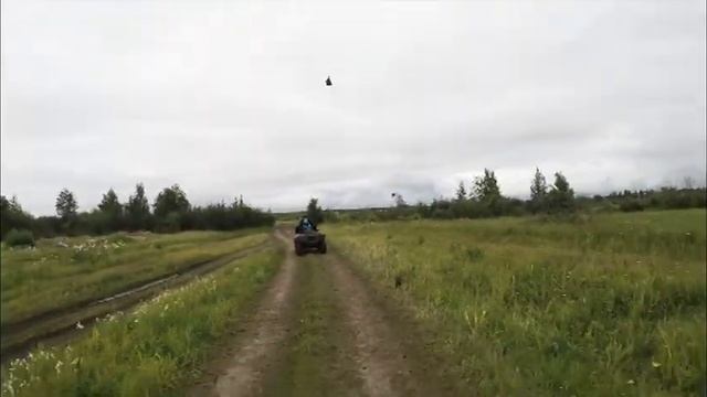 квадро смотреть онлайн