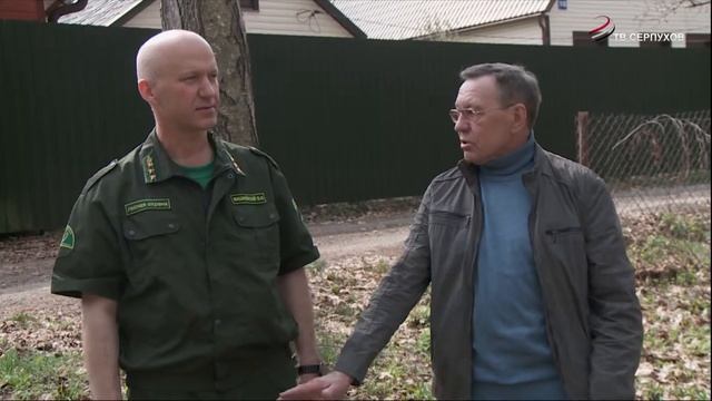 5 шагов к открытию своего дела в лесу смотреть онлайн