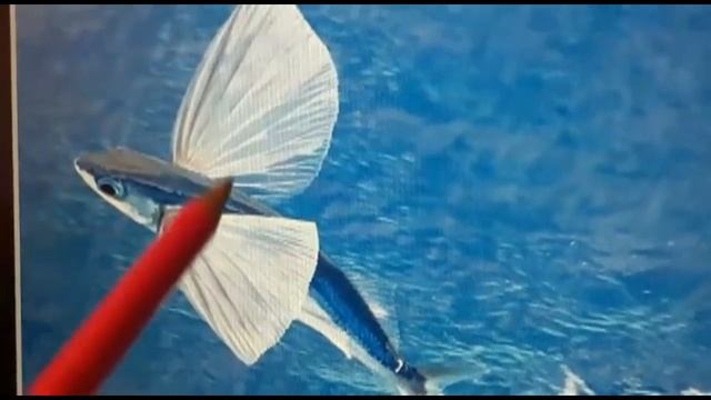 Тема занятия Рыбы смотреть онлайн