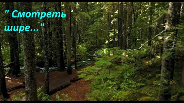 Мотивирующий мыслить позитивно стих "Смотреть шире..." смотреть онлайн