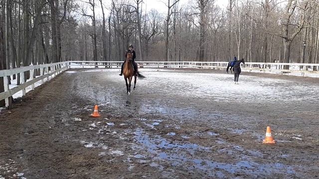 Школа верховой езды Гармония. Вика урок+интервью март2019 смотреть онлайн