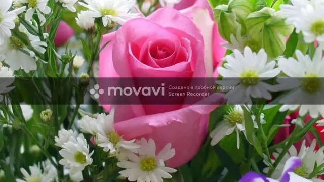 Мой Фото ? Часть 1 смотреть онлайн