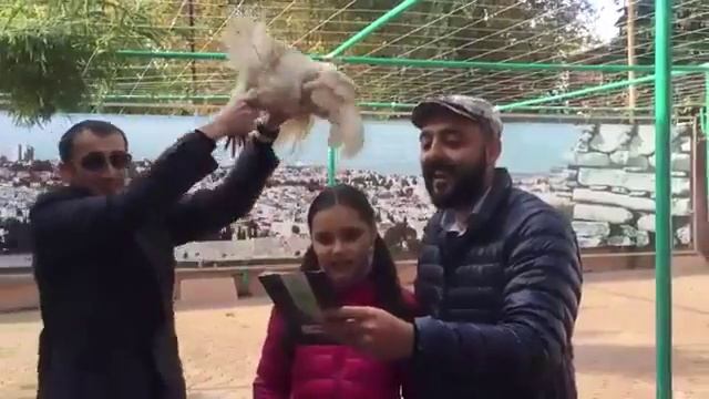 Капарот в Ульяновске смотреть онлайн