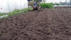 мотоблок Ока с фрезами