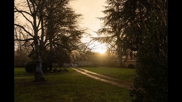 Sony A7R V Review: Awesome Images, Improved Video, Unbeatable Autofocus