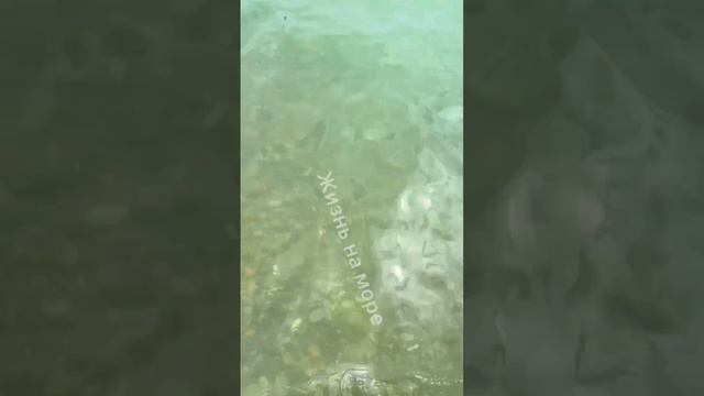 Архипо-Осиповка 9 июня 2024 🌤️ смотреть онлайн