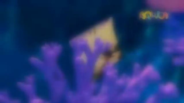 Santiago of the Seas - Intro (Uzbek) смотреть онлайн