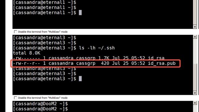 Linux Configure PasswordLess SSH смотреть онлайн