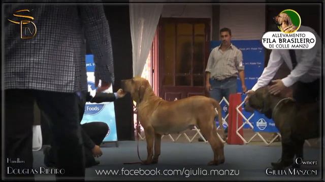 TEBAS IV DO RINCÃO VIOLENTO #2 BIS KCRGS Março 2015 смотреть онлайн