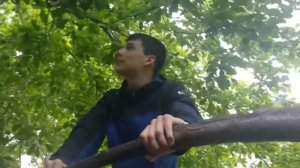 КАК ЗАЛЕЗТЬ НА ДЕРЕВО? 3 СПОСОБА!