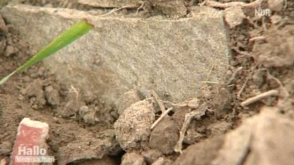 Asbest - Streit um asbestbelastete Felder