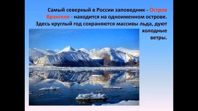 День заповедников и национальных парков России смотреть онлайн