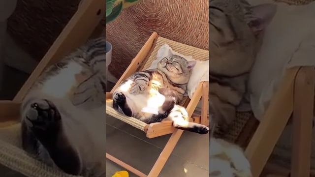 Жизнь удалась! смотреть онлайн