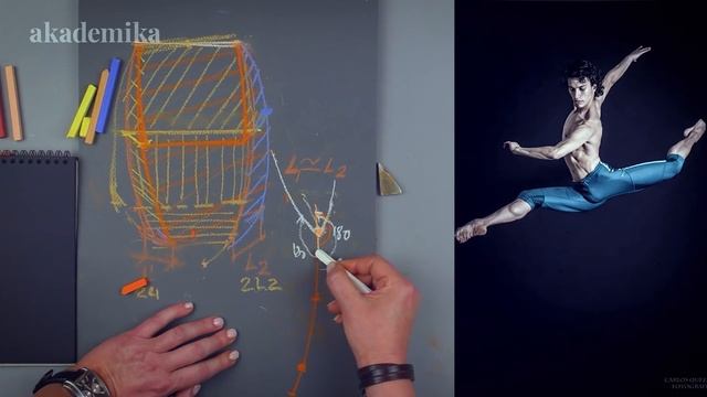 Курс по анатомии человека «Пластическая анатомия. Верхние конечности» | Анна Карпова ~ Akademika