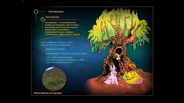 Взаимоотношения между организмами смотреть онлайн