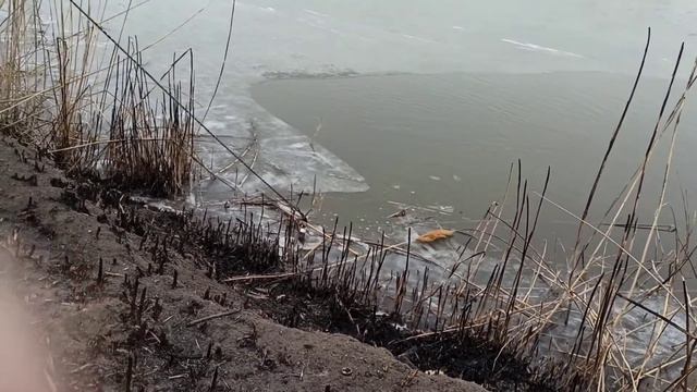Первый блин - комом или как мы на магнитную рыбалку съездили. смотреть онлайн