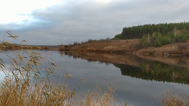 РЫБАЛКА НА ЩУКУ. КАЖДЫЙ ДЕНЬ С УЛОВОМ. смотреть онлайн