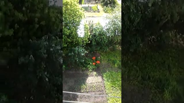 Лето 2020 г.Моршанск Тамбовская обл..mp4 смотреть онлайн