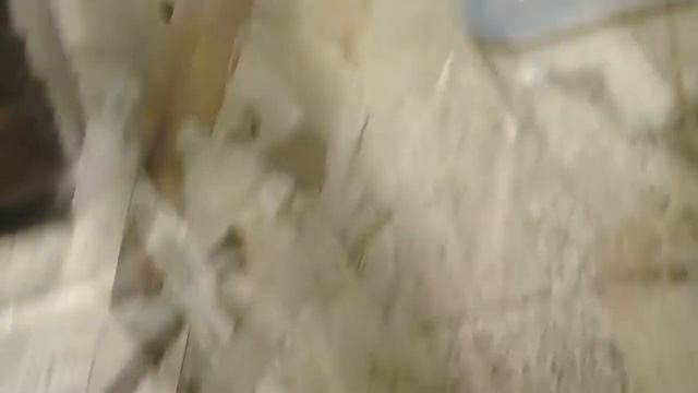 Мы поехали всем класом и с другими класами на выставку пауков смотреть онлайн