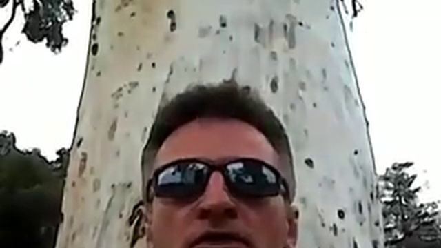 Виталий Гончаров, "Ты моя женщина" смотреть онлайн