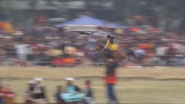 What did Tasmina's father say to him? So how do you play so well? Saori Tasmina is the best horse смотреть онлайн