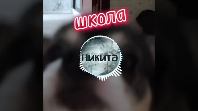 Дед Никита - Школа [prod.BliN4ikoFF] (музыка и бит - топовский алмазы на шее) @Blin4ikoFF смотреть онлайн