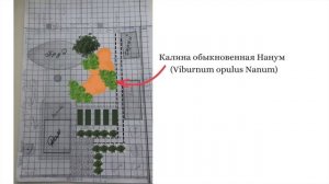 Особенности проектирования садов при высоком уровне грунтовых вод. Советы ландшафтного дизайнера.
