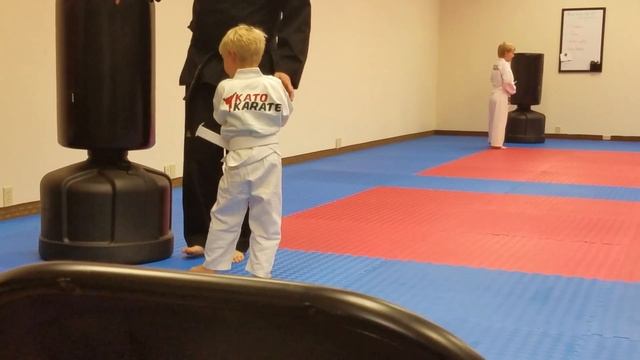 Kato Karate sidekick смотреть онлайн