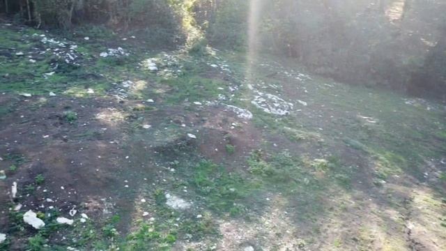 #переезднаюг #Сочи #землявсочи В гостях у сказки