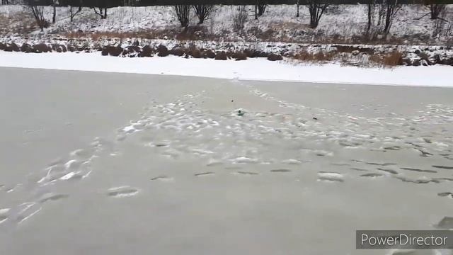 Вазуза 02.02.2020 рыбалка. смотреть онлайн