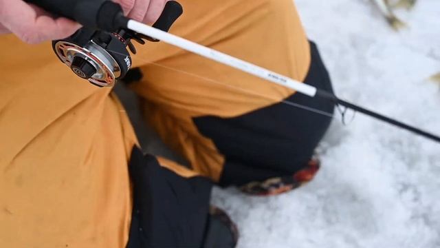 Зимние мультипликаторы, особенности и преимущества. смотреть онлайн