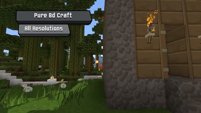 Pure Bd Craft Texture Pack For  Minecraft  1.19  | Java & Bedrock