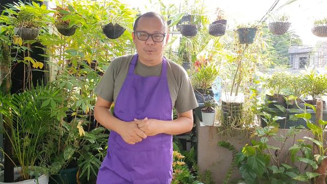 Sa maulang panahon subukan ang THAI NOODLE SOUP смотреть онлайн